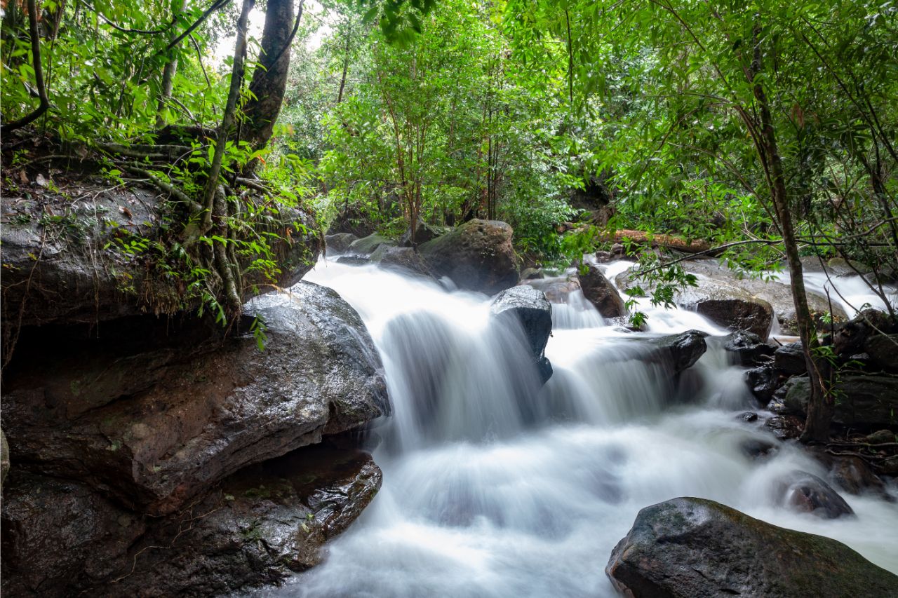 Tranh stream in Phu Quoc Island Vietnam