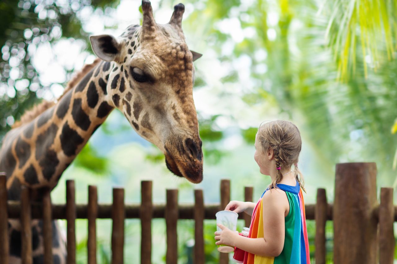 Singapore Zoo