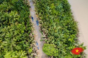 Coconut in Ben Tre Mekong Delta Vietnam (1)