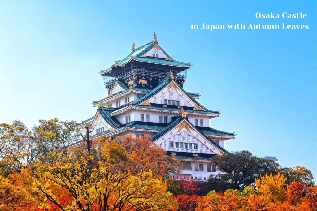 JAPAN Osaka Castle in Japan with Autumn Leaves