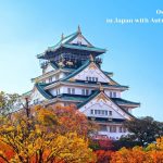 JAPAN Osaka Castle in Japan with Autumn Leaves