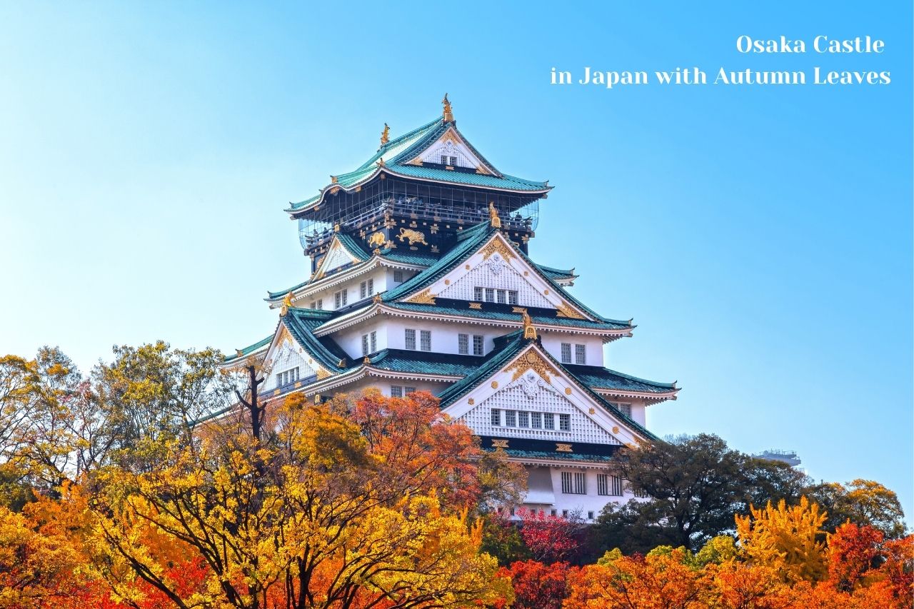 JAPAN Osaka Castle in Japan with Autumn Leaves