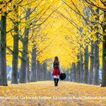 Beautiful Girl with Yellow Leaves in Nami Island, Korea