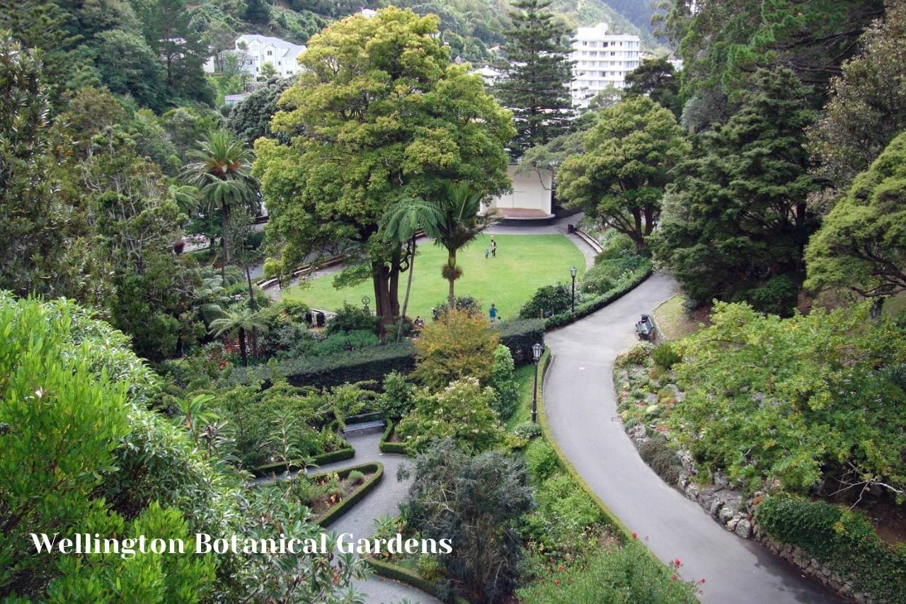 Wellington Botanical Gardens