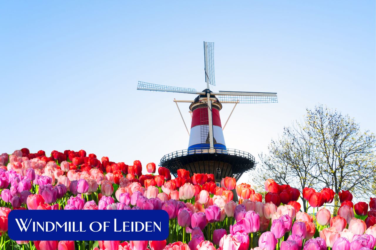 Netherlands Windmill of Leiden