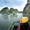 amazing halong bay journey