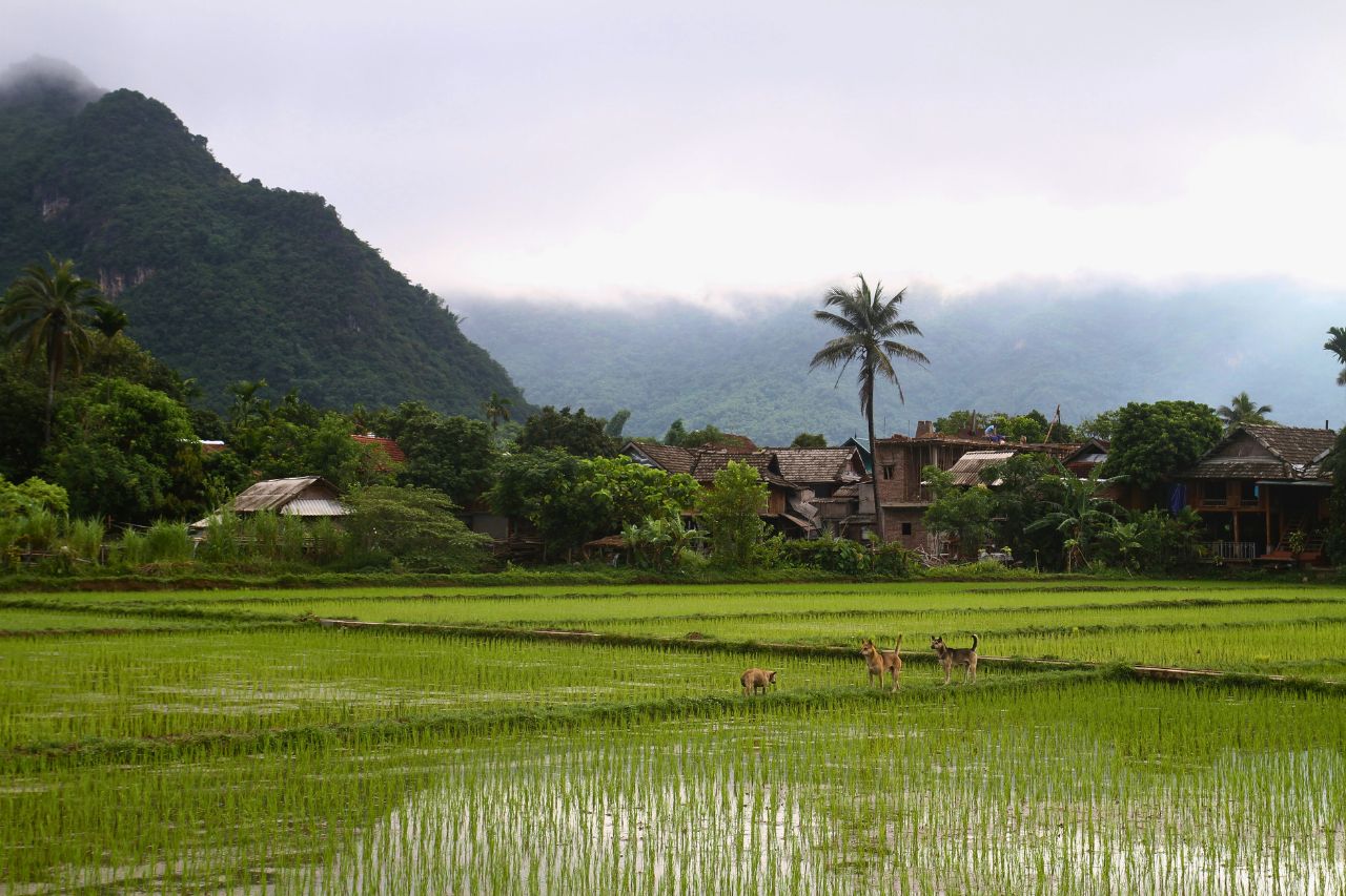mai chau valley in vietnam (3)